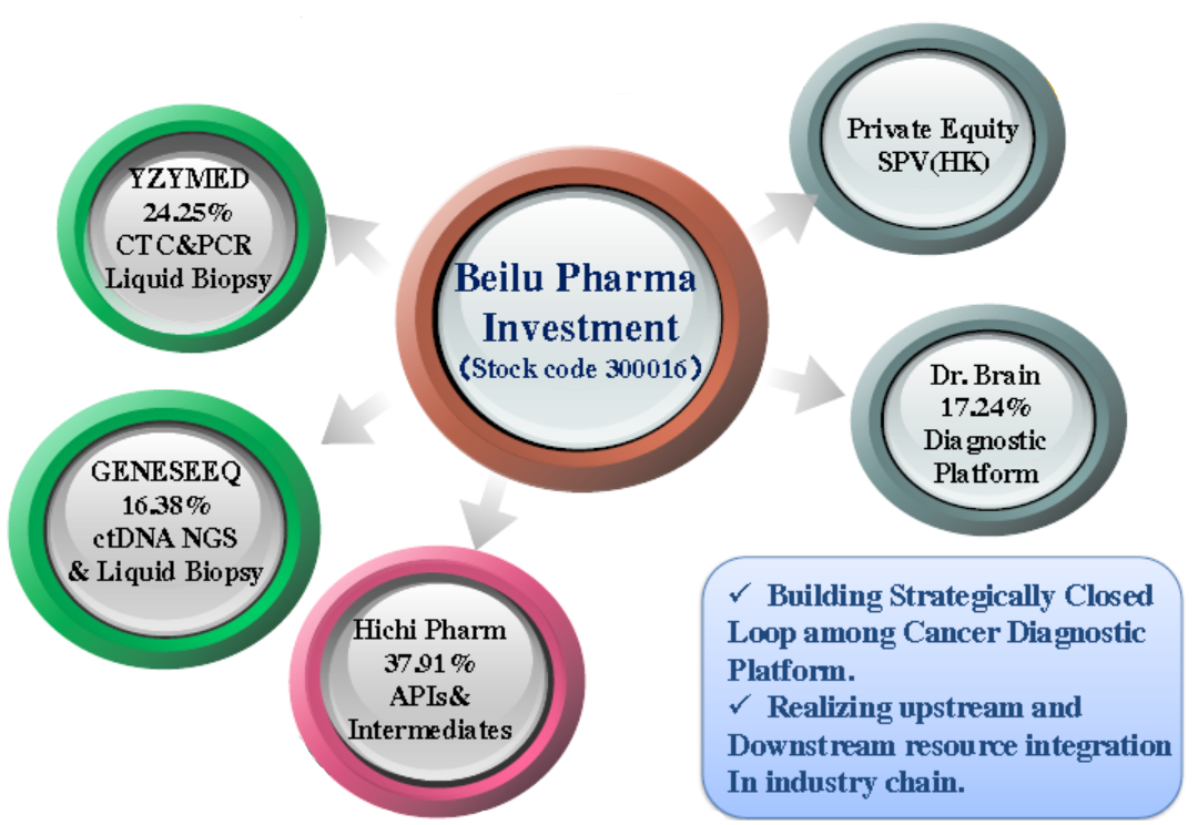 Company Structure